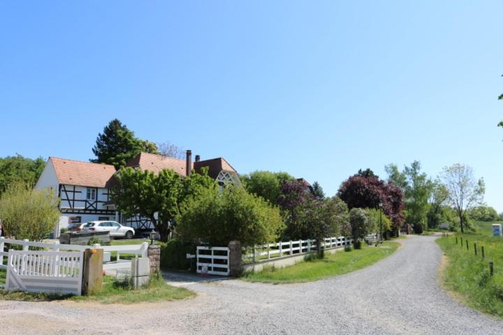 Romantik-Home Nordelsass - Ferienwohnung Fuer Selbstversorger Oberhoffen-les-Wissembourg ภายนอก รูปภาพ