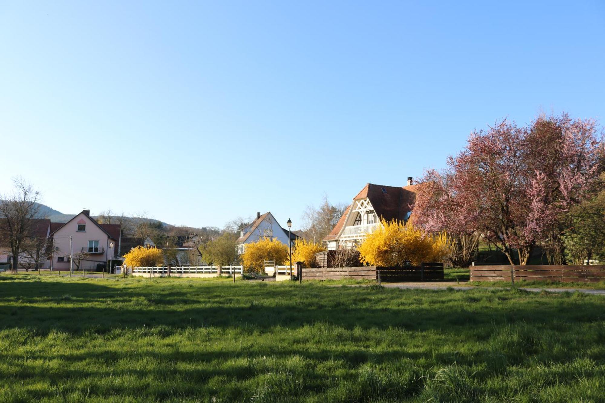 Romantik-Home Nordelsass - Ferienwohnung Fuer Selbstversorger Oberhoffen-les-Wissembourg ภายนอก รูปภาพ
