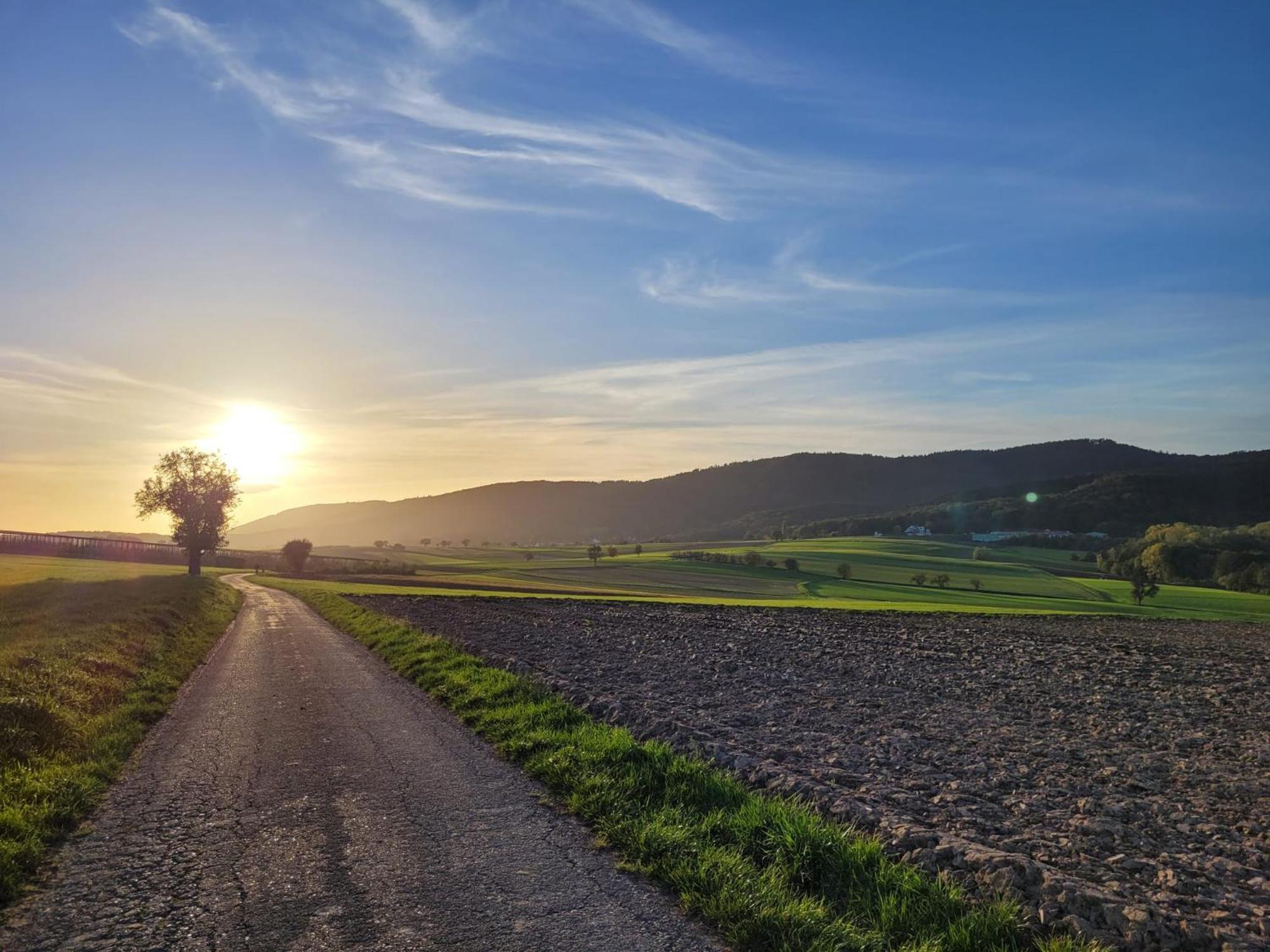 Romantik-Home Nordelsass - Ferienwohnung Fuer Selbstversorger Oberhoffen-les-Wissembourg ภายนอก รูปภาพ